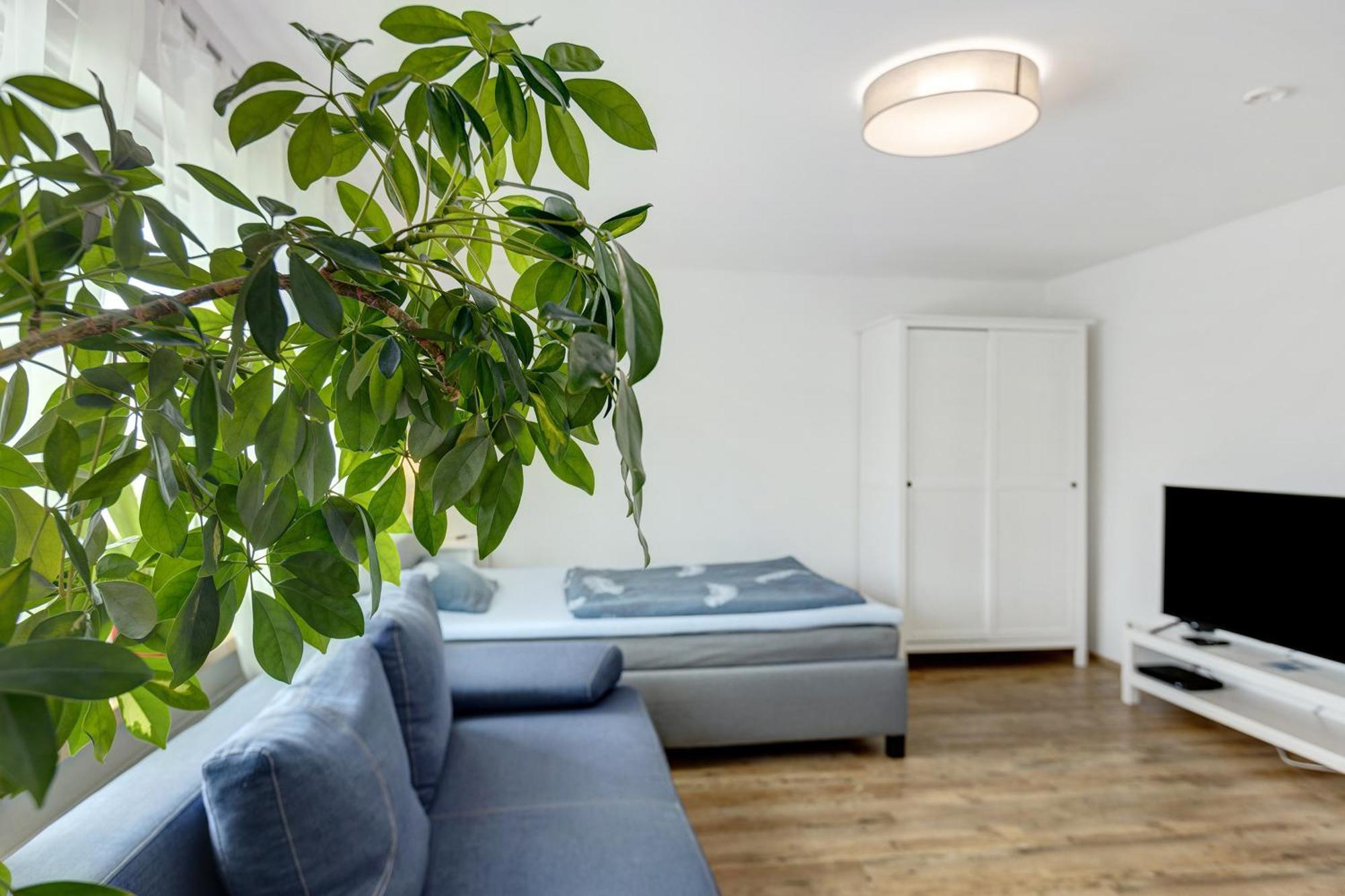 Ferienwohnung Pepe Donaueschingen Esterno foto